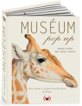 Muséum pop up - Dominique Ehrhard - GRANDES PERSONN