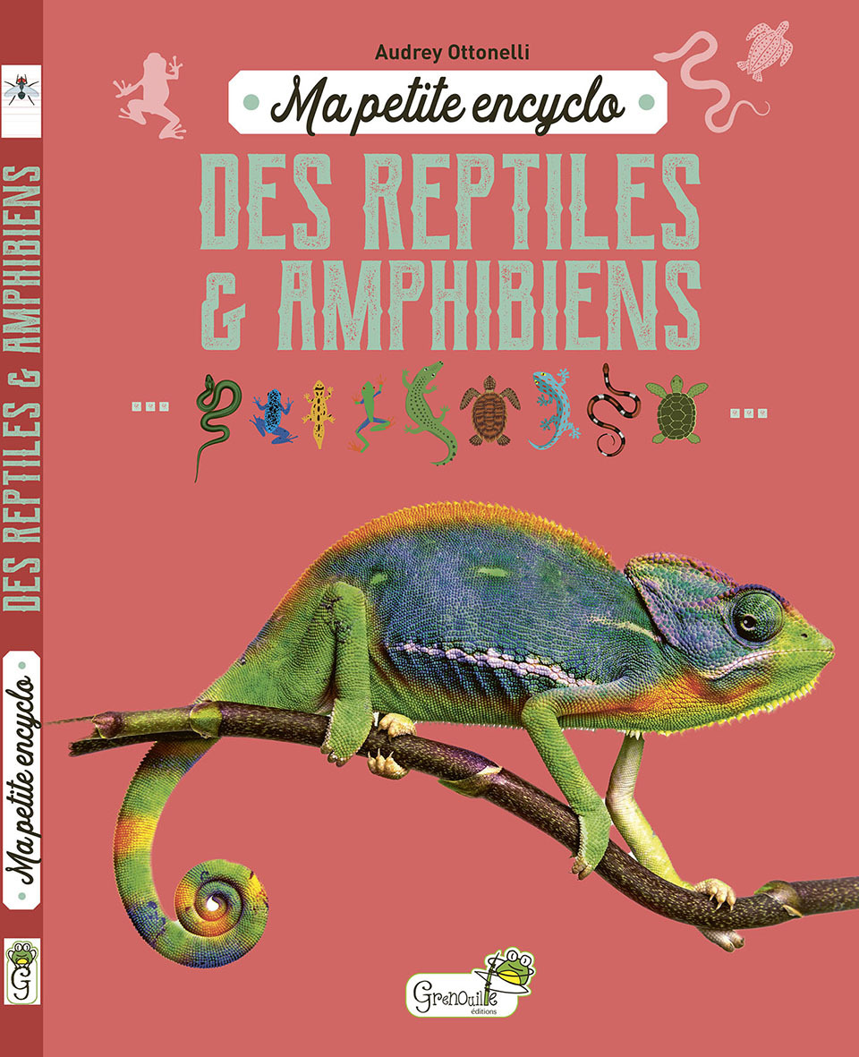 Ma petite encyclo des reptiles et amphibiens -  A. OTTONELLI - GRENOUILLE