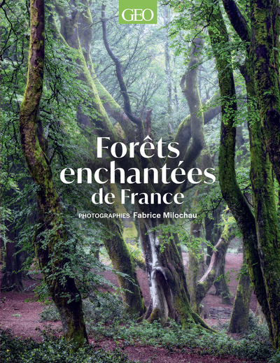 Forêts enchantées de France - Fabrice Milochau - GEO