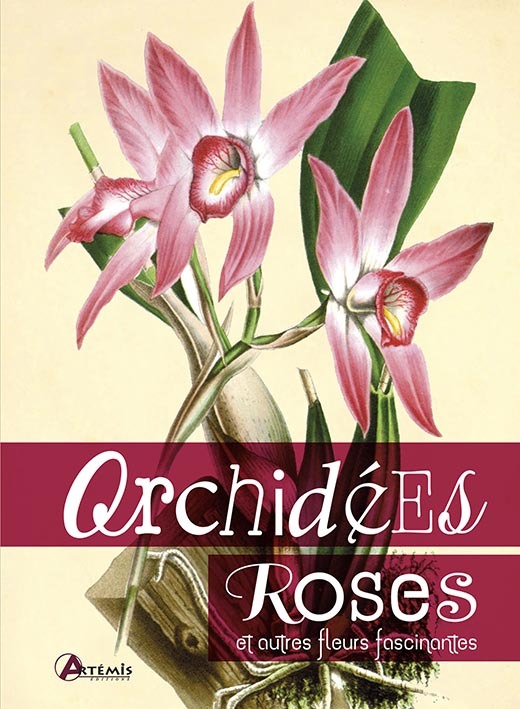 Orchidées, roses et autres fleurs fascinantes - Lucrecia Pérsico Lamas - ARTEMIS