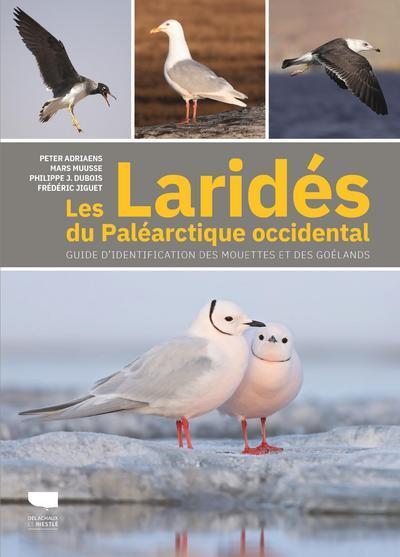 Les Laridés du paléarctique occidental - Peter Adriaens - DELACHAUX