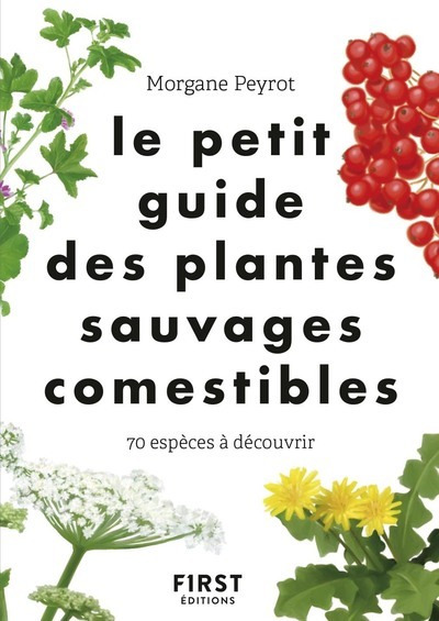 Le Petit guide des plantes sauvages comestibles - Morgane Peyrot - FIRST