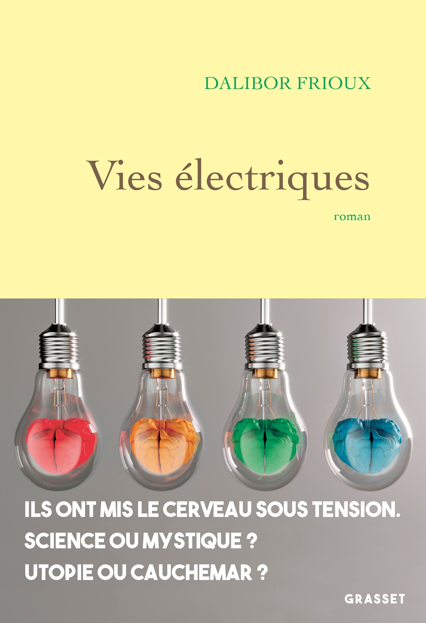 Vies électriques - Dalibor Frioux - GRASSET