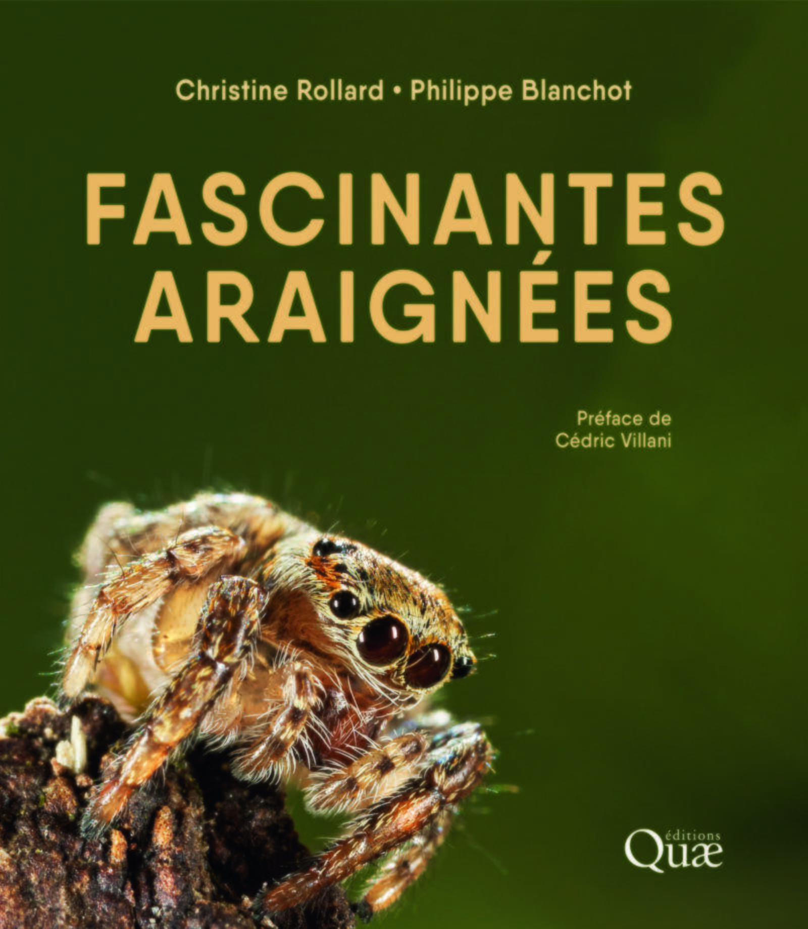 FASCINANTES ARAIGNÉES - ROLLARD CHRISTINE - QUAE FASCINANTES ARAIGNÉES - ROLLARD CHRISTINE - QUAE