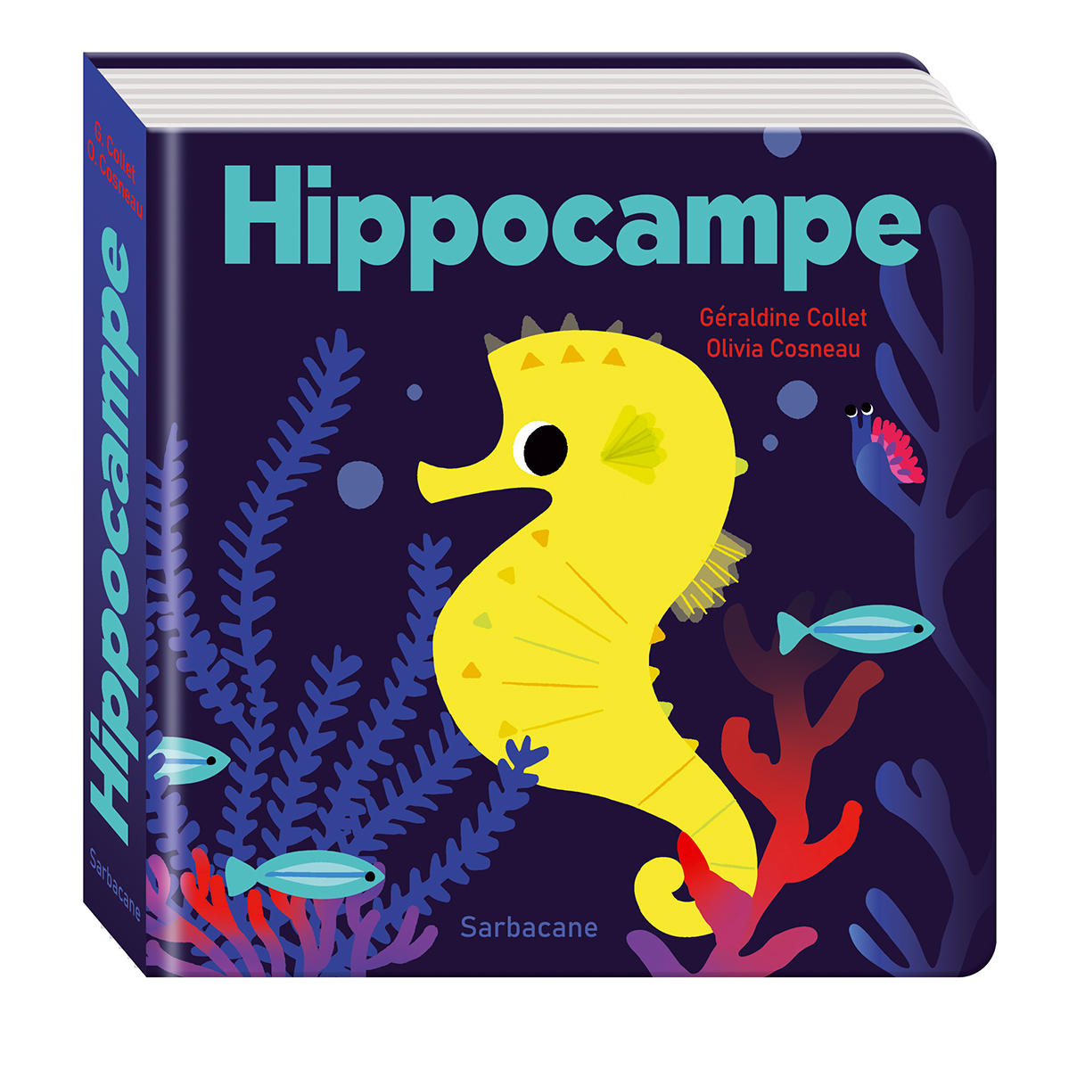 HIPPOCAMPE - COLLET GERALDINE - SARBACANE