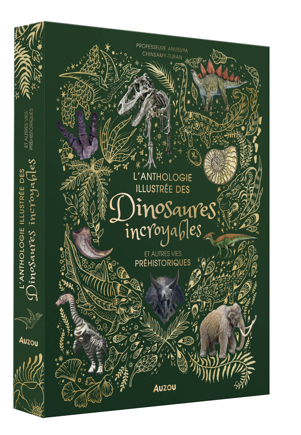 L'ANTHOLOGIE ILLUSTRÉE DES DINOSAURES INCROYABLES ET AUTRES VIES PRÉHISTORIQUES - BLATTNER CAROLINE - AUZOU