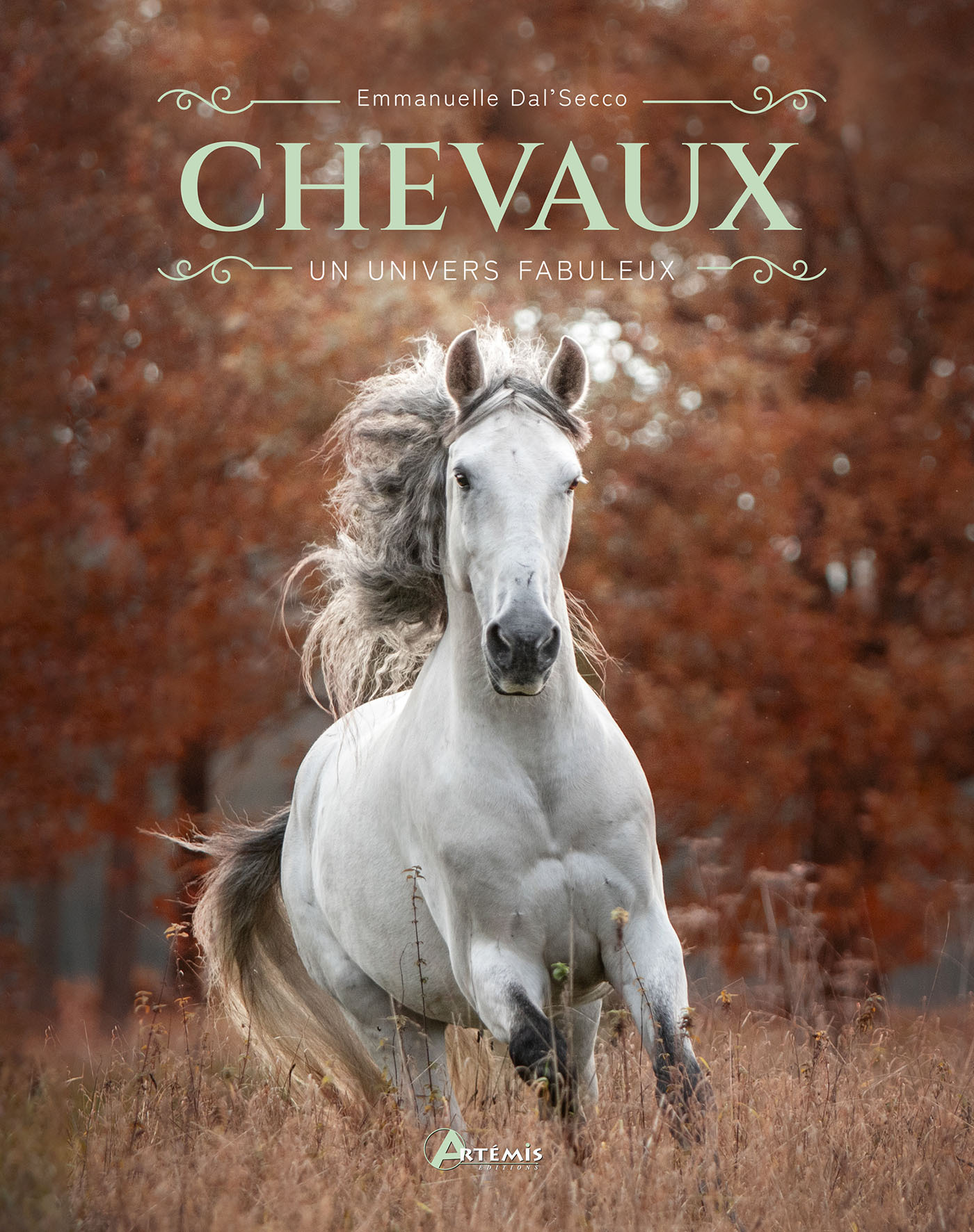 CHEVAUX : UN UNIVERS FABULEUX - DAL'SECCO EMMANUELLE - ARTEMIS