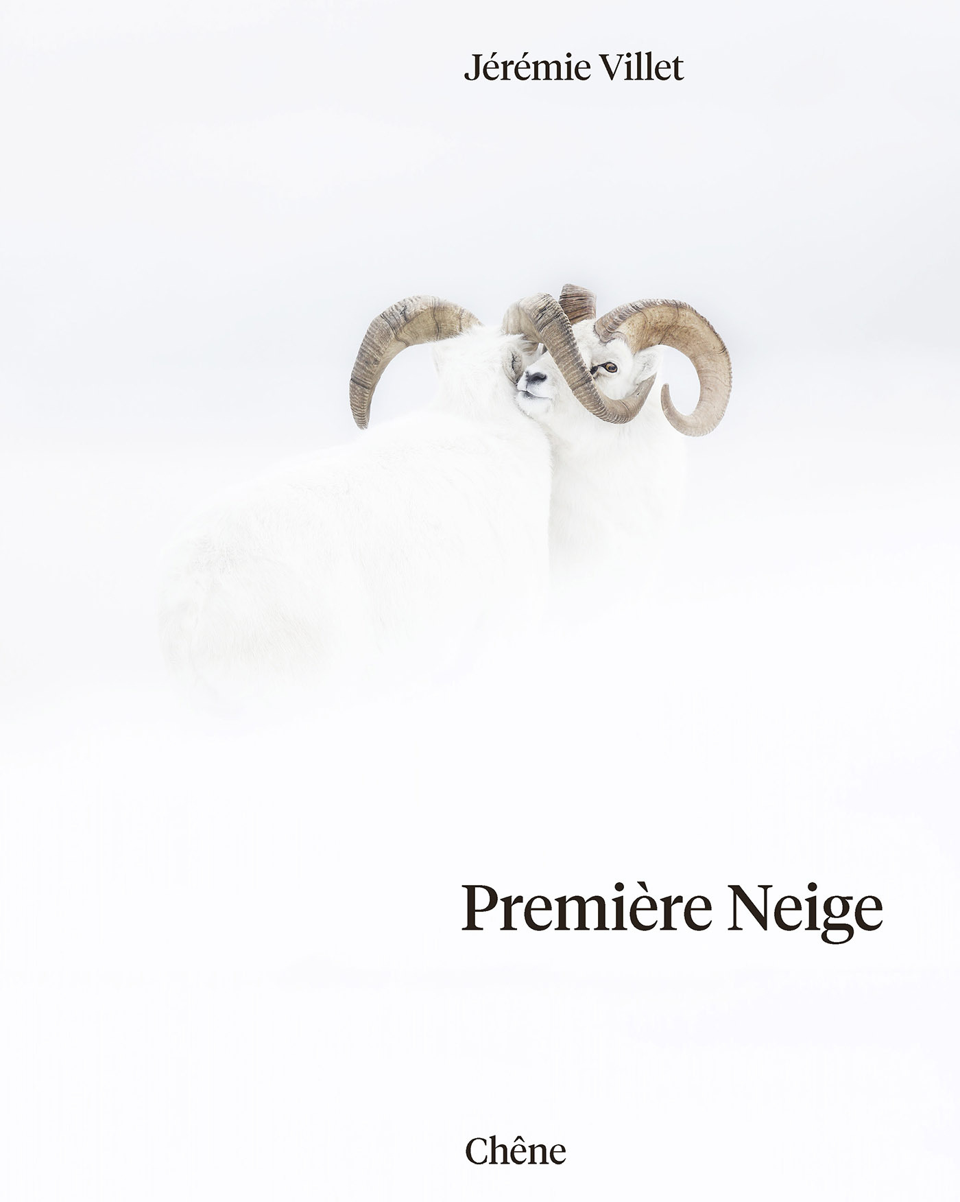 PREMIÈRE NEIGE - JEREMIE VILLET - LE CHENE