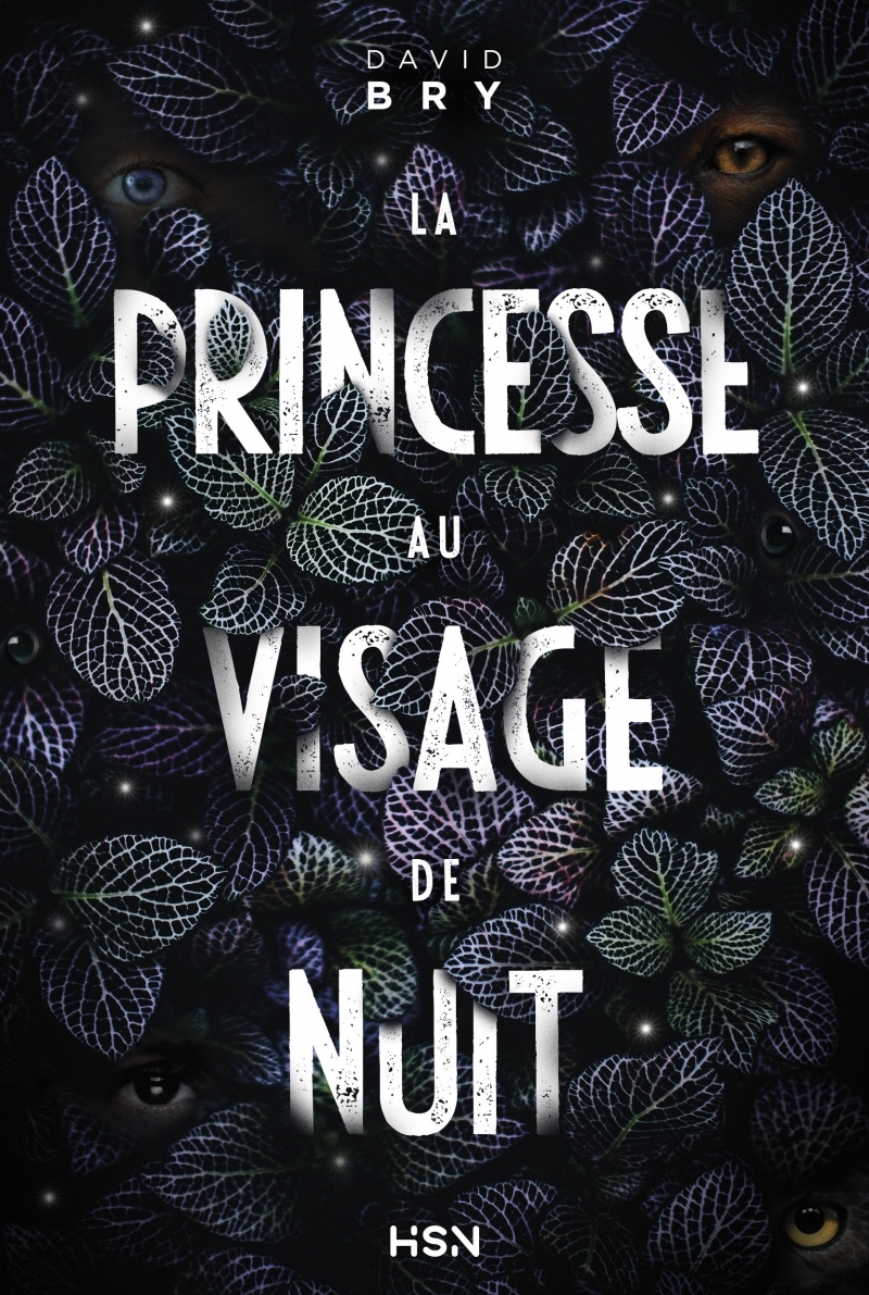 La Princesse au visage de nuit - David Bry - HOMME SANS NOM