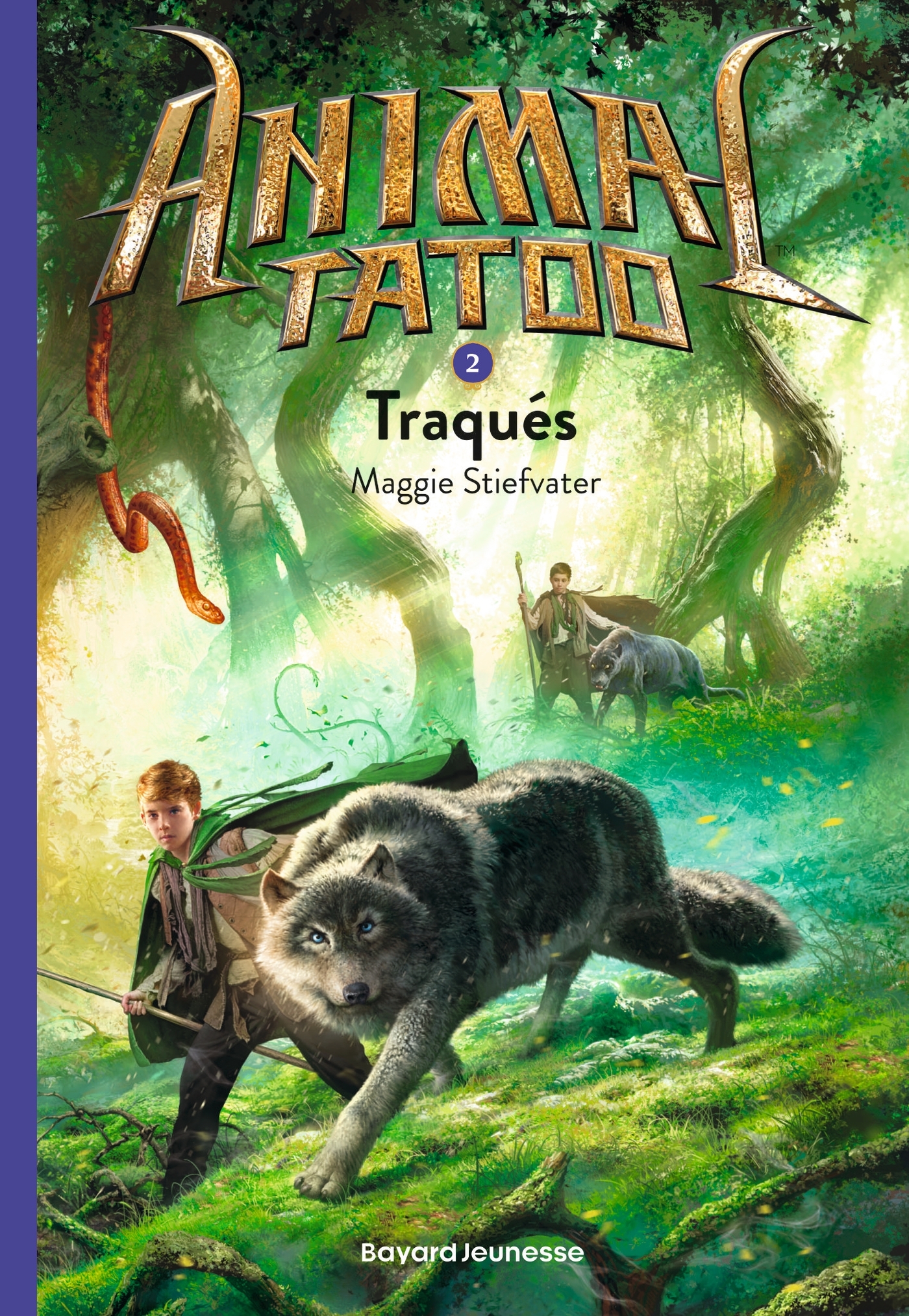 Animal Tatoo poche saison 1, Tome 02 - Maggie Stiefvater - BAYARD JEUNESSE