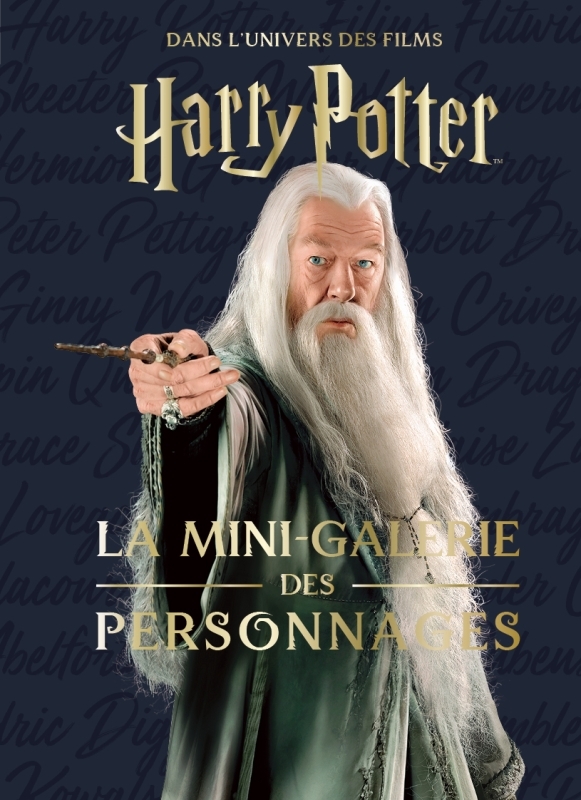 Les mini-grimoires Harry Potter T9 : la mini-galerie des personnages -  Revenson Jody - HUGINN MUNINN