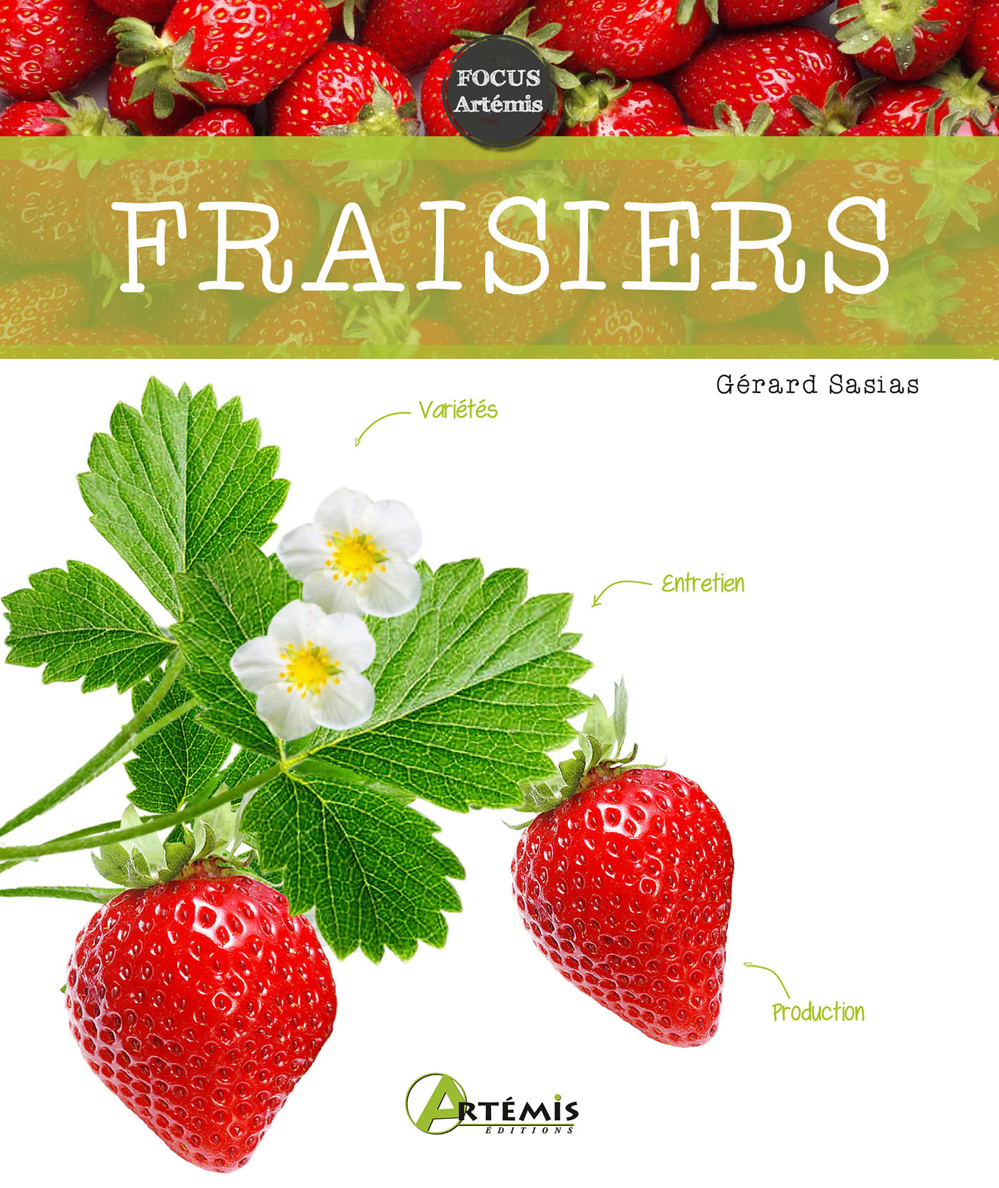 Fraisiers - G. SASIAS - ARTEMIS