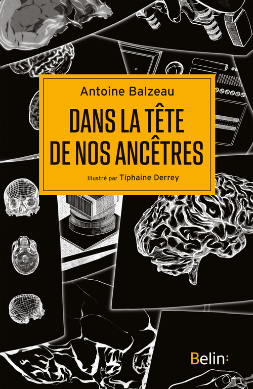 Dans la tête de nos ancêtres - Antoine BALZEAU - BELIN