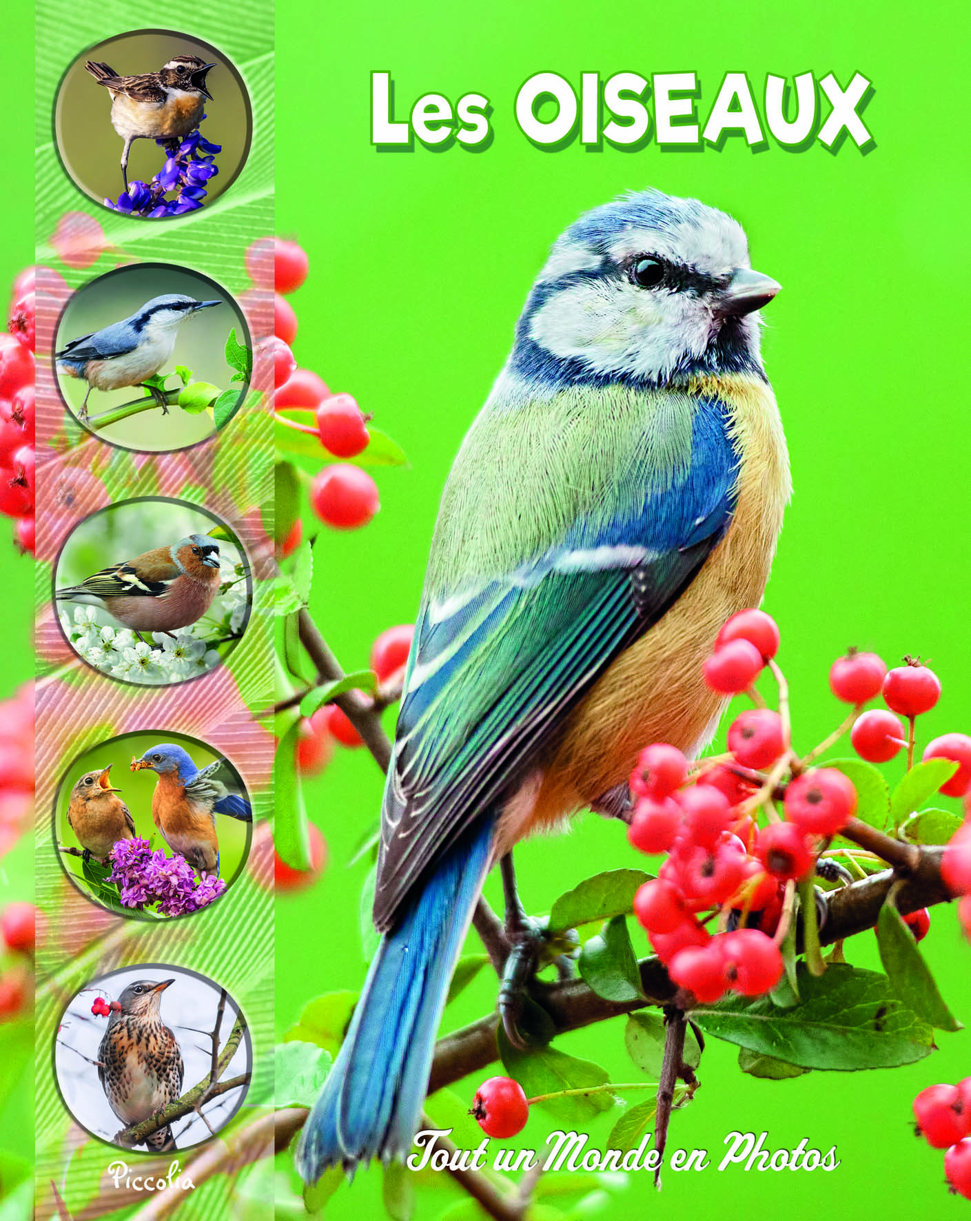 Les oiseaux -  Collectif - PICCOLIA