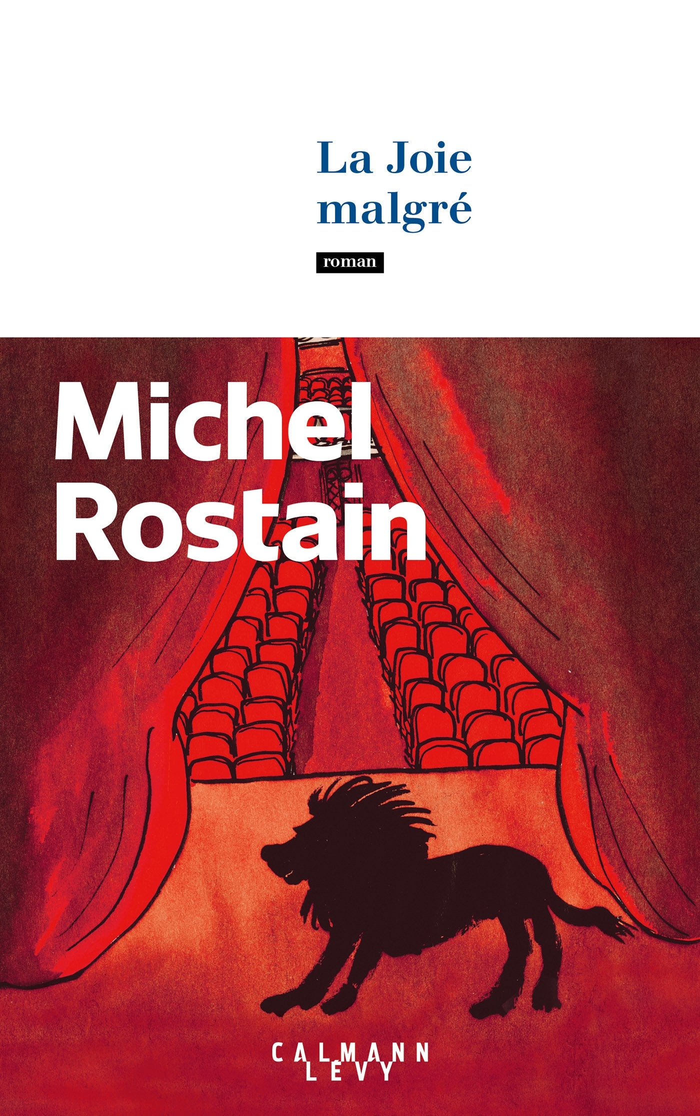 La Joie malgré - Michel Rostain - CALMANN-LEVY