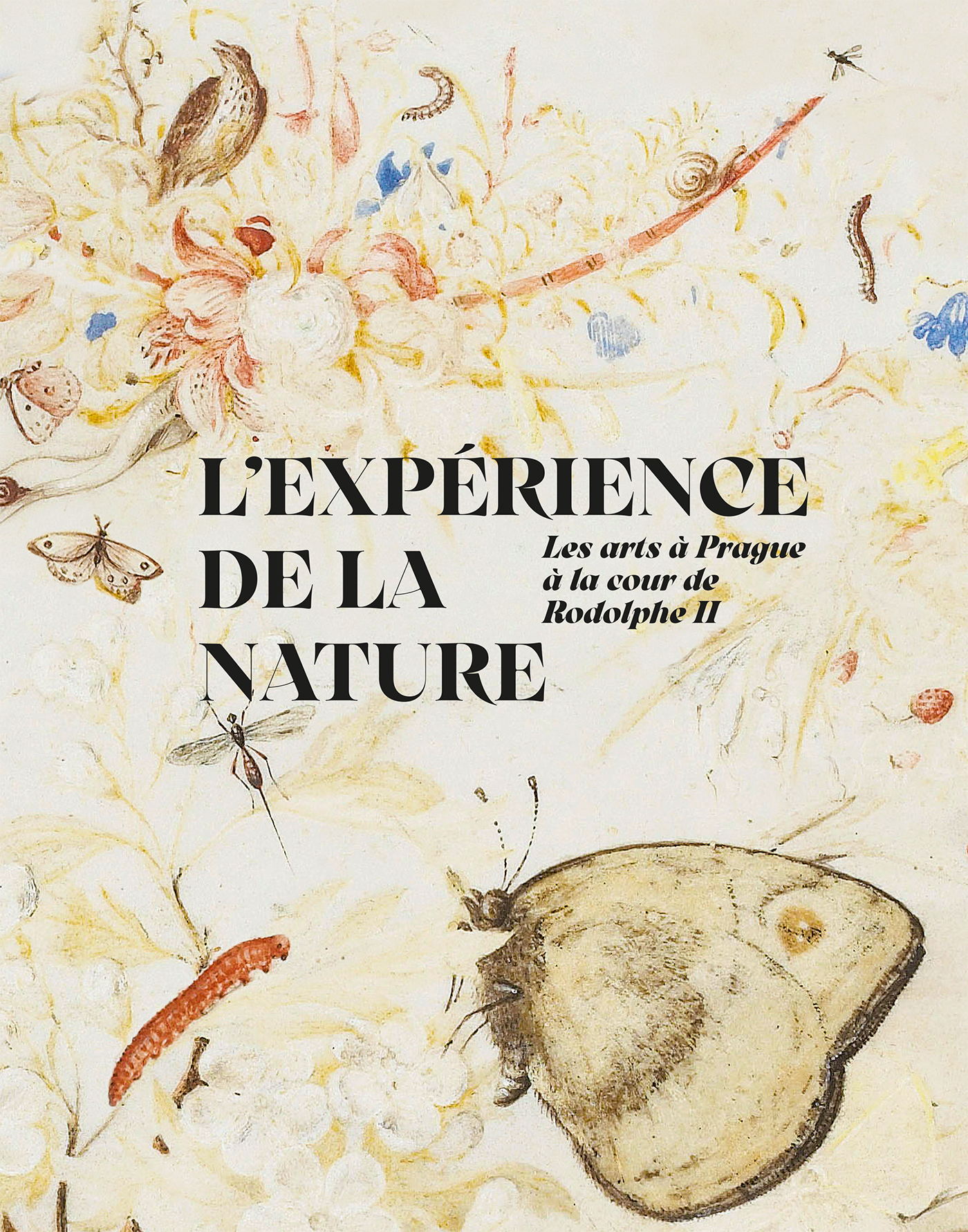L'expérience de la nature - Philippe Malgouyres, Olivia Savatier, Savatier olivia - LIENART L'expérience de la nature - Philippe Malgouyres, Olivia Savatier, Savatier olivia - LIENART