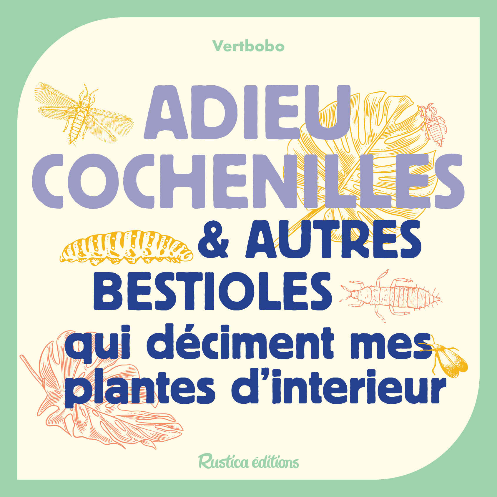 Adieu cochenilles et autres bestioles qui déciment mes plantes d'intérieur - Vertbobo - RUSTICA Adieu cochenilles et autres bestioles qui déciment mes plantes d'intérieur - Vertbobo - RUSTICA