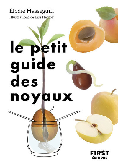 Le Petit Guide des noyaux - Élodie Masseguin, Lise Herzog - FIRST Le Petit Guide des noyaux - Élodie Masseguin, Lise Herzog - FIRST
