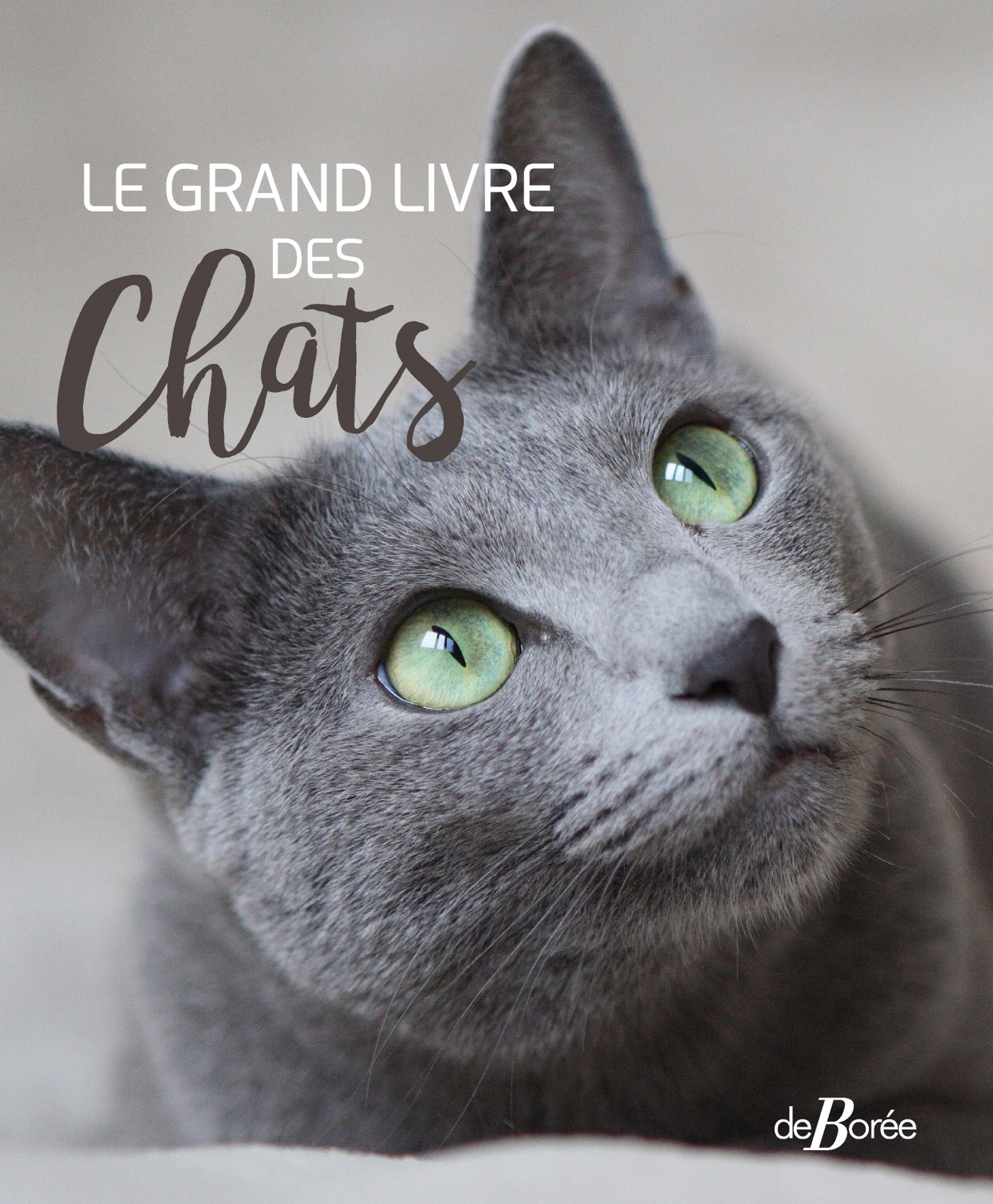 Le Grand livre des Chats -  Collectif - DE BOREE