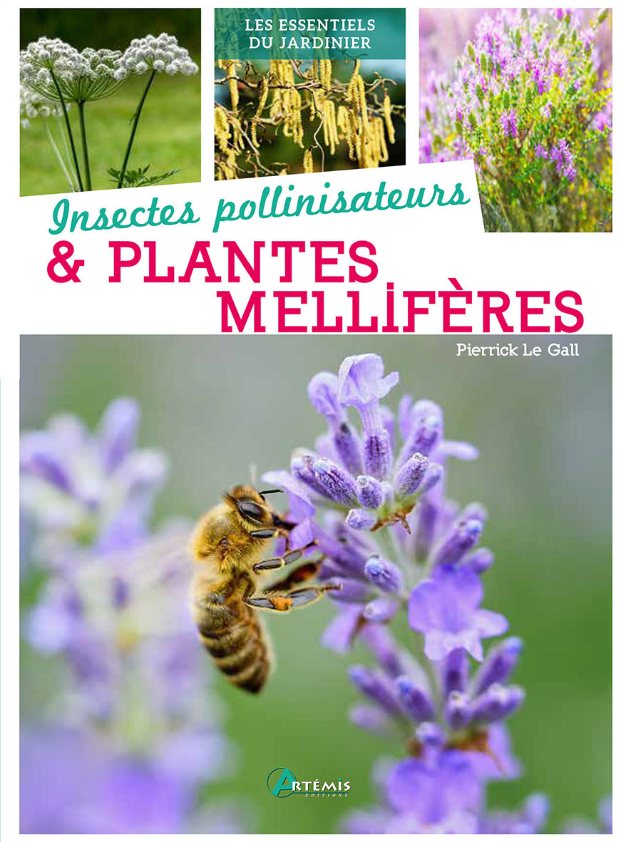 Insectes pollinisateurs et plantes mellifères -  Pierrick Le Jardinier, Pierrick LE GALL - ARTEMIS