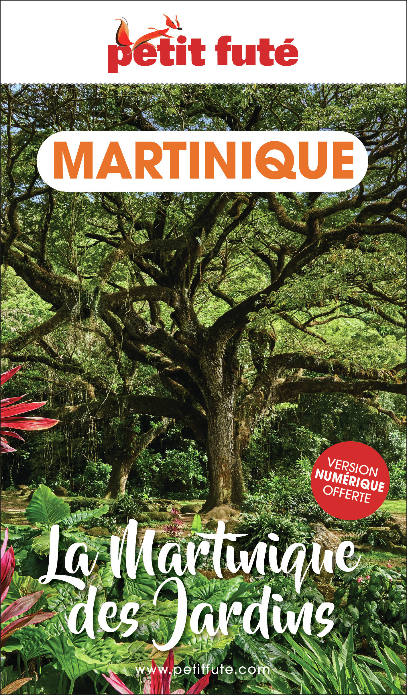 Guide Martinique Des Jardins 2024 Petit Futé - Jean-Paul Labourdette, Dominique Auzias - PETIT FUTE