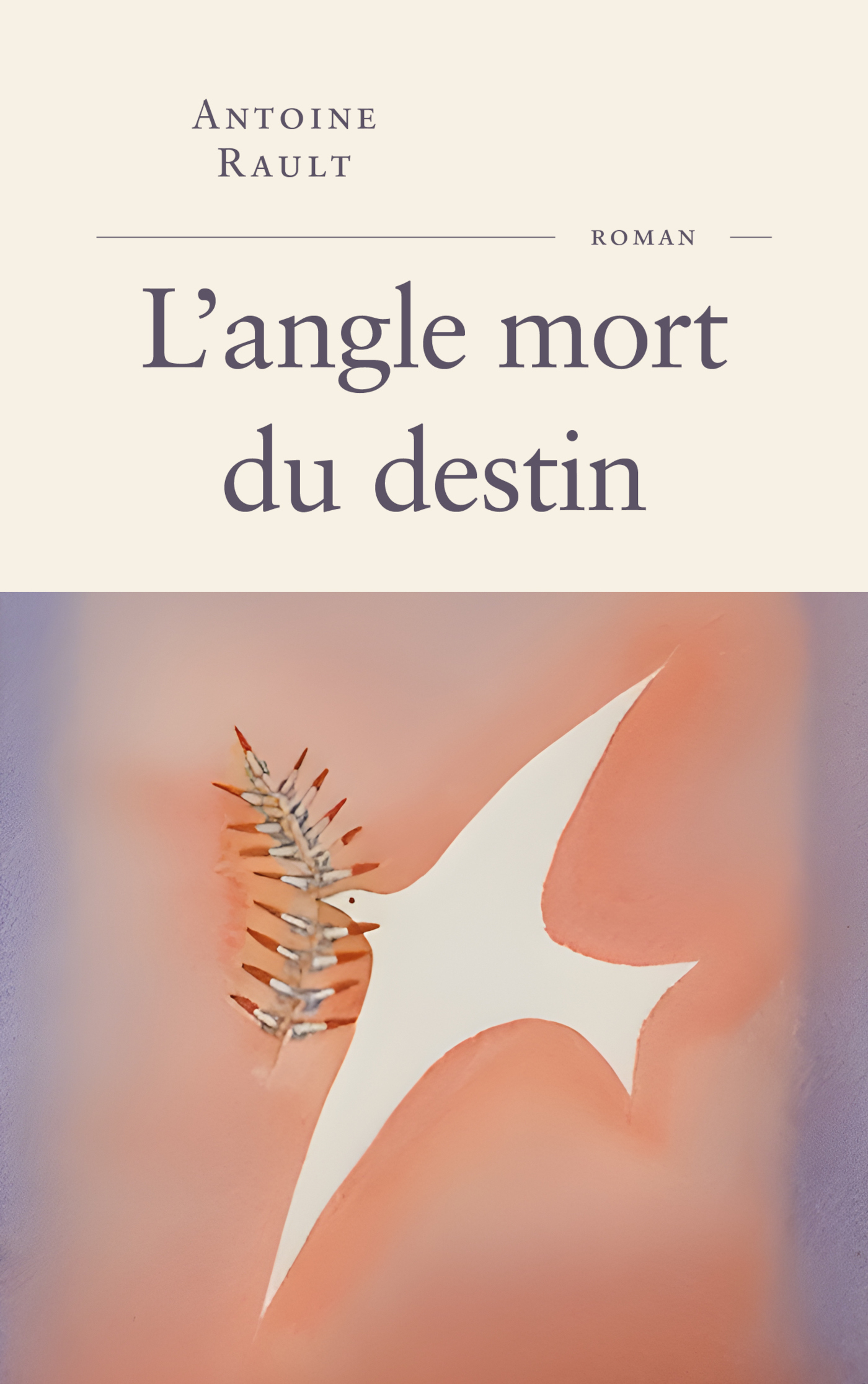 L'angle mort du destin - Antoine Rault - FAYARD