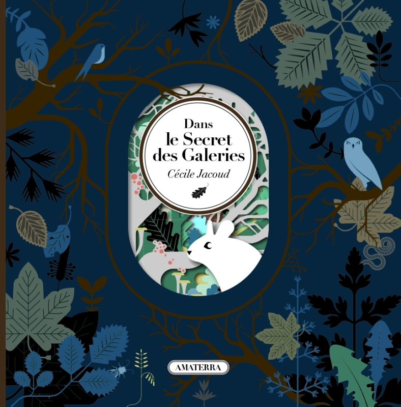 Dans le secret des galeries - JACOUD CECILE - AMATERRA