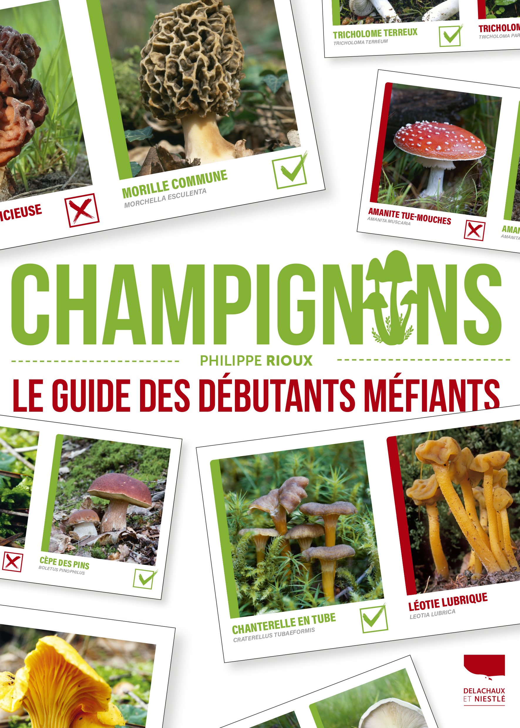 Champignons - Philippe RIOUX - DELACHAUX