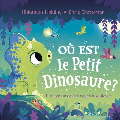 Où est le petit dinosaure ? Un livre avec des volets à soulever - Rhiannon Fielding - GRUND