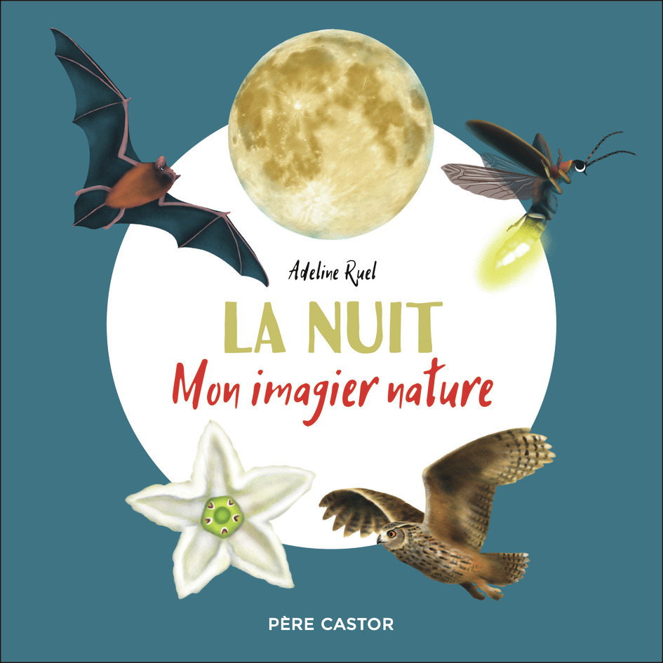 La nuit - Adeline Ruel - PERE CASTOR