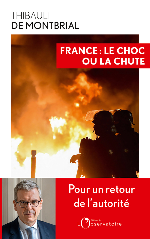 France : le choc ou la chute -  Montbrial thibault/bayle cyriaque,  Montbrial thibault, Thibault De Montbrial - L'OBSERVATOIRE
