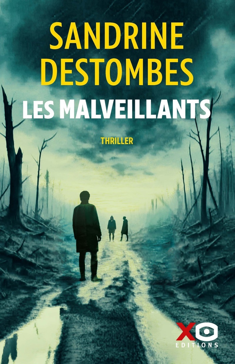 Les Malveillants - Sandrine Destombes - XO
