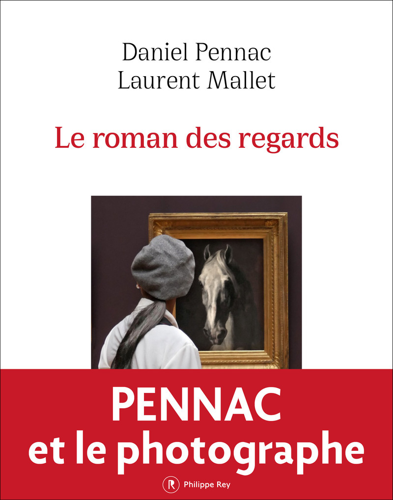 Le roman des regards - Daniel Pennac, Laurent Mallet - REY