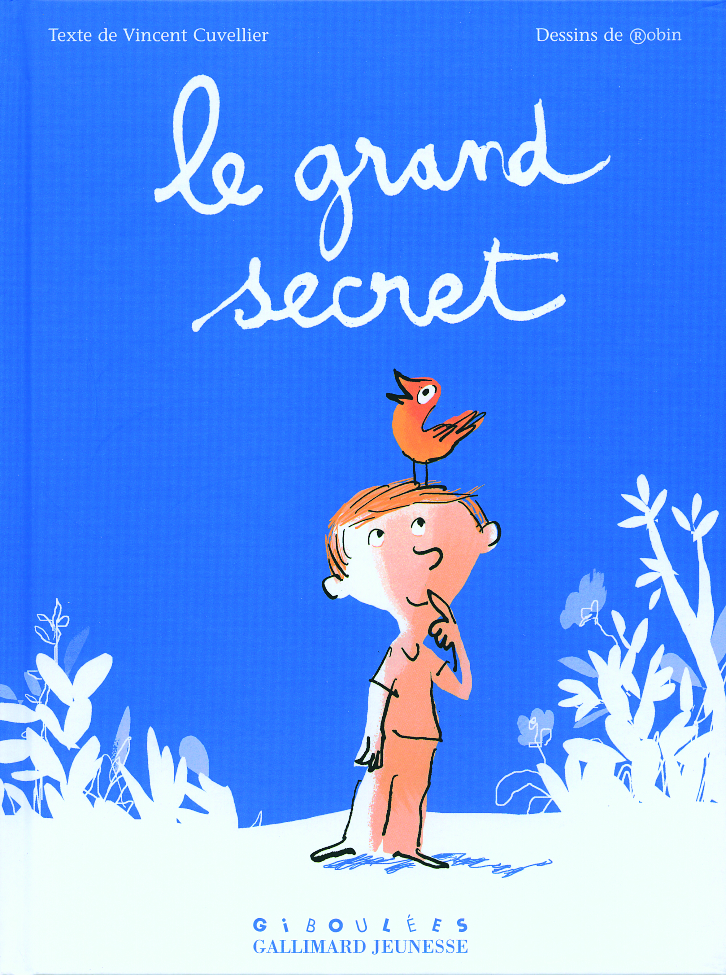 Le grand secret - Vincent Cuvellier - GALL JEUN GIBOU