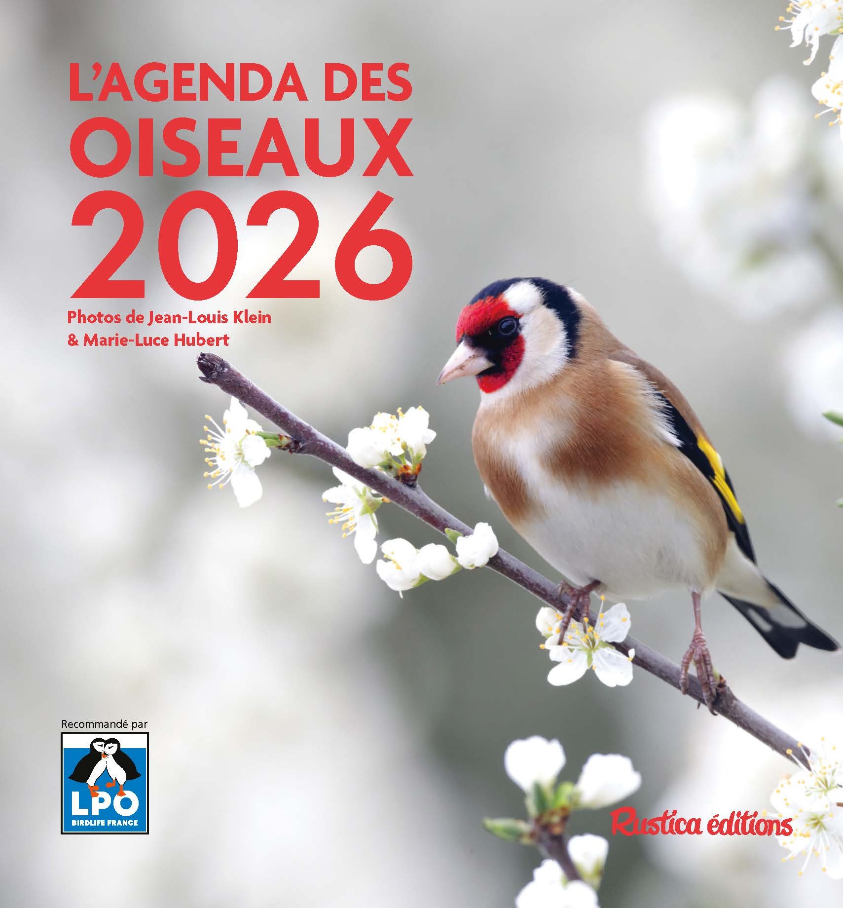 Agenda des oiseaux 2026 - Marie-Luce Hubert, Jean-Louis Klein - RUSTICA