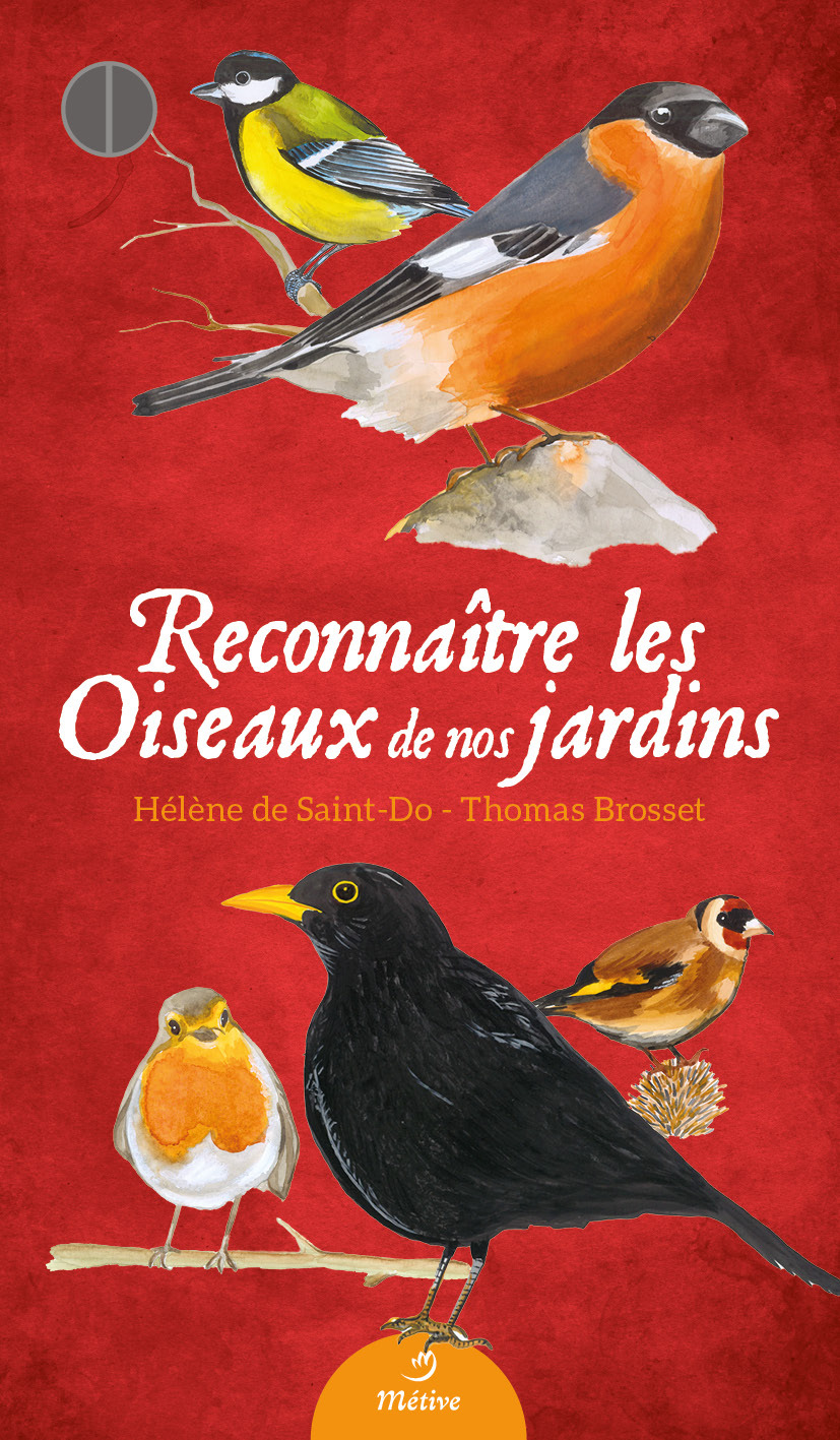 Reconnaître les oiseaux de nos jardins - Thomas Brosset, Audrey Zubanovic-Perfumo, Hélène de Saint-Do - METIVE