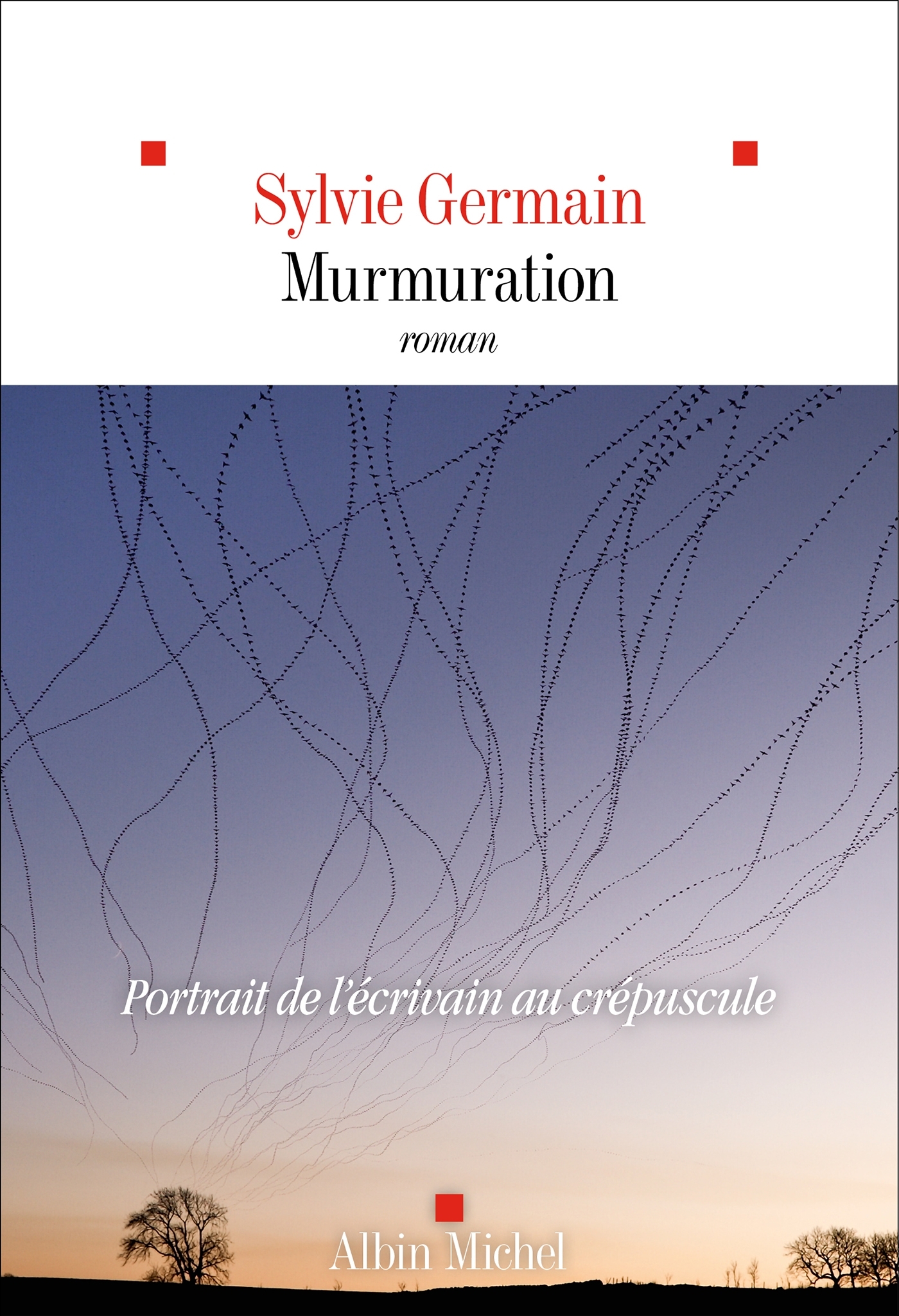 Murmuration - Sylvie Germain - ALBIN MICHEL