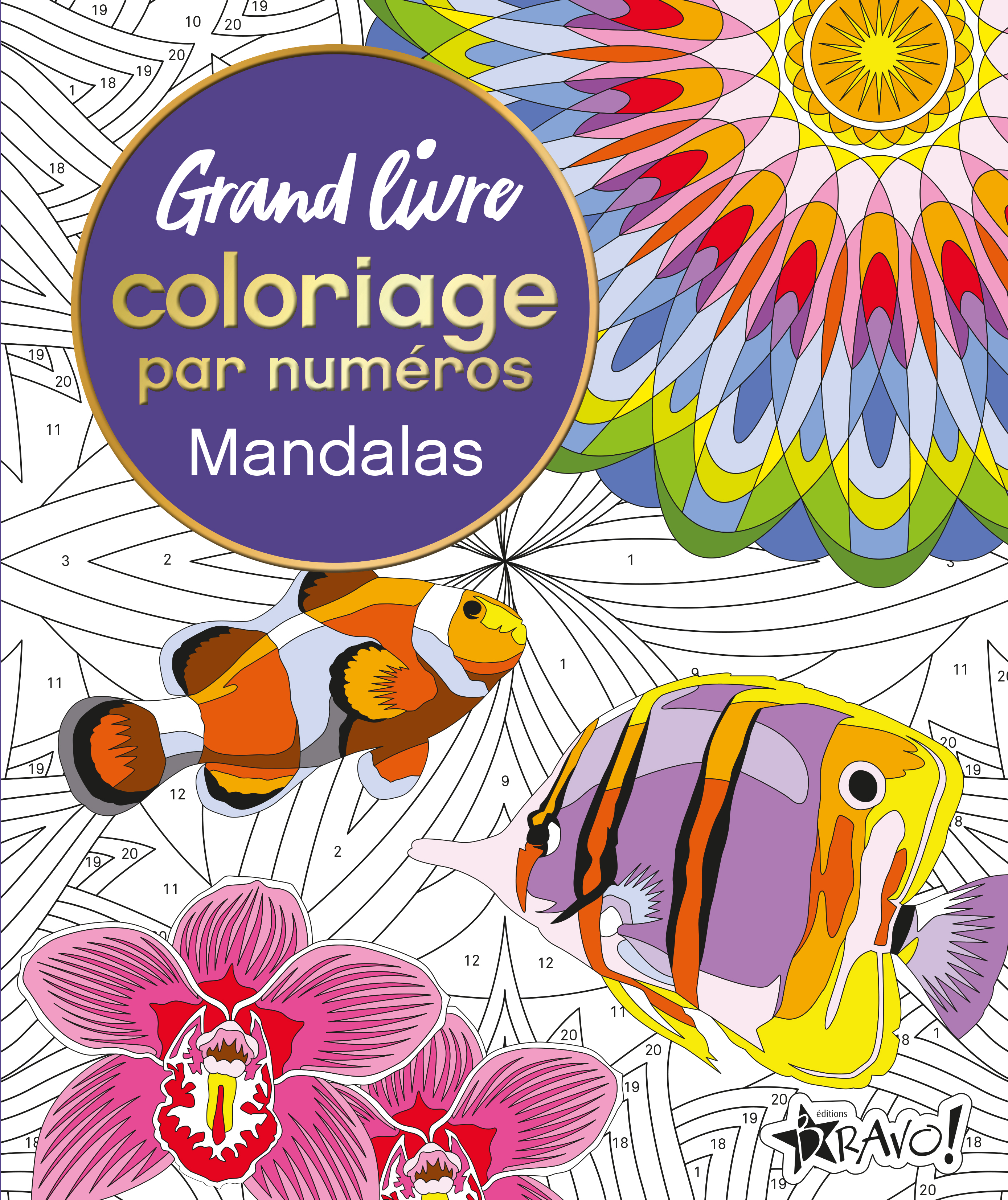 Grand livre coloriage par numéros - Mandalas - David Woodroffe - BRAVO