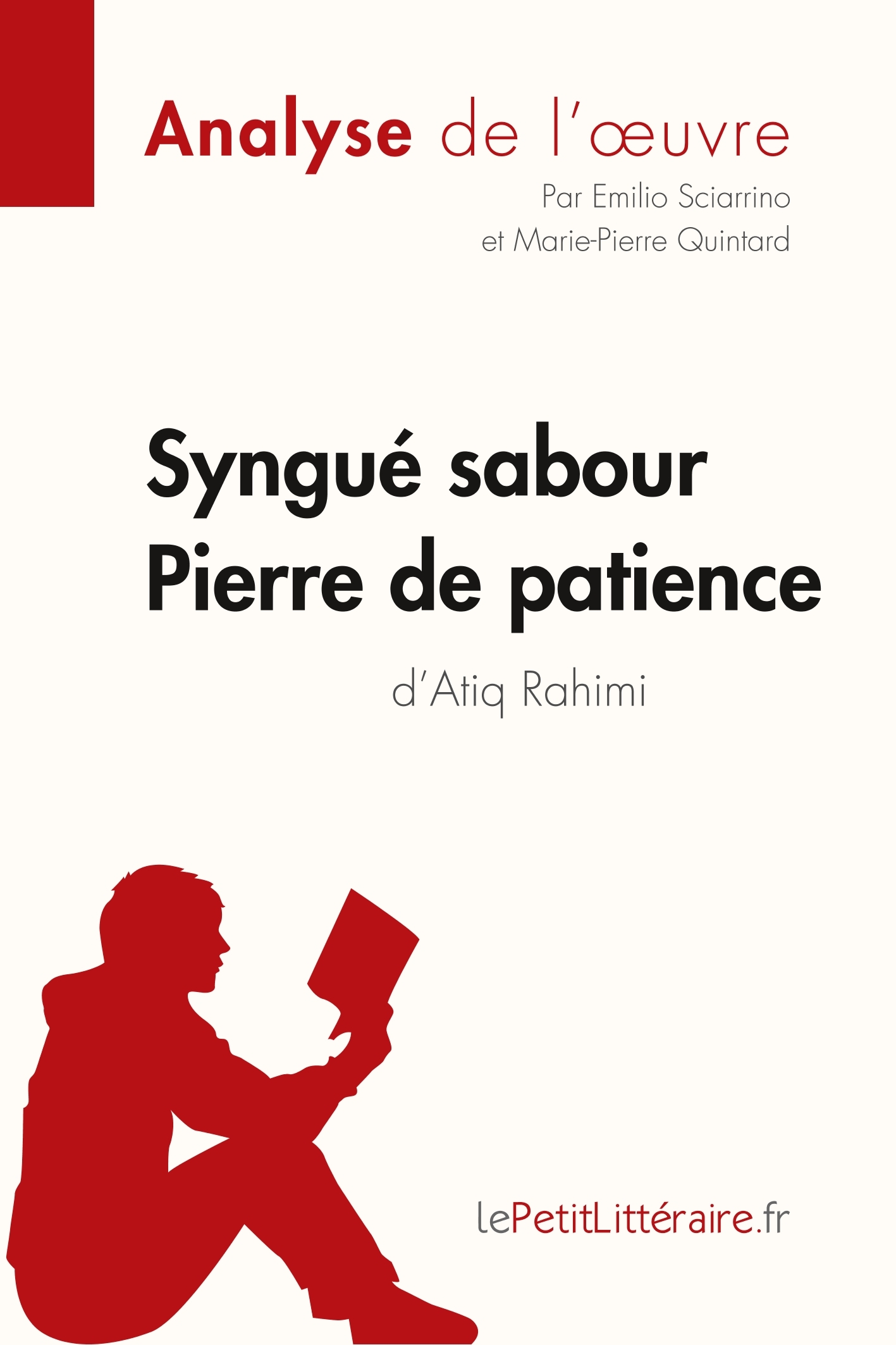 Syngué Sabour. Pierre de patience d'Atiq Rahimi (Analyse de l'oeuvre) -  Marie-Pierre Quintard,  Emilio Sciarrino,  lePetitLitteraire - LEPETITLITTERAI