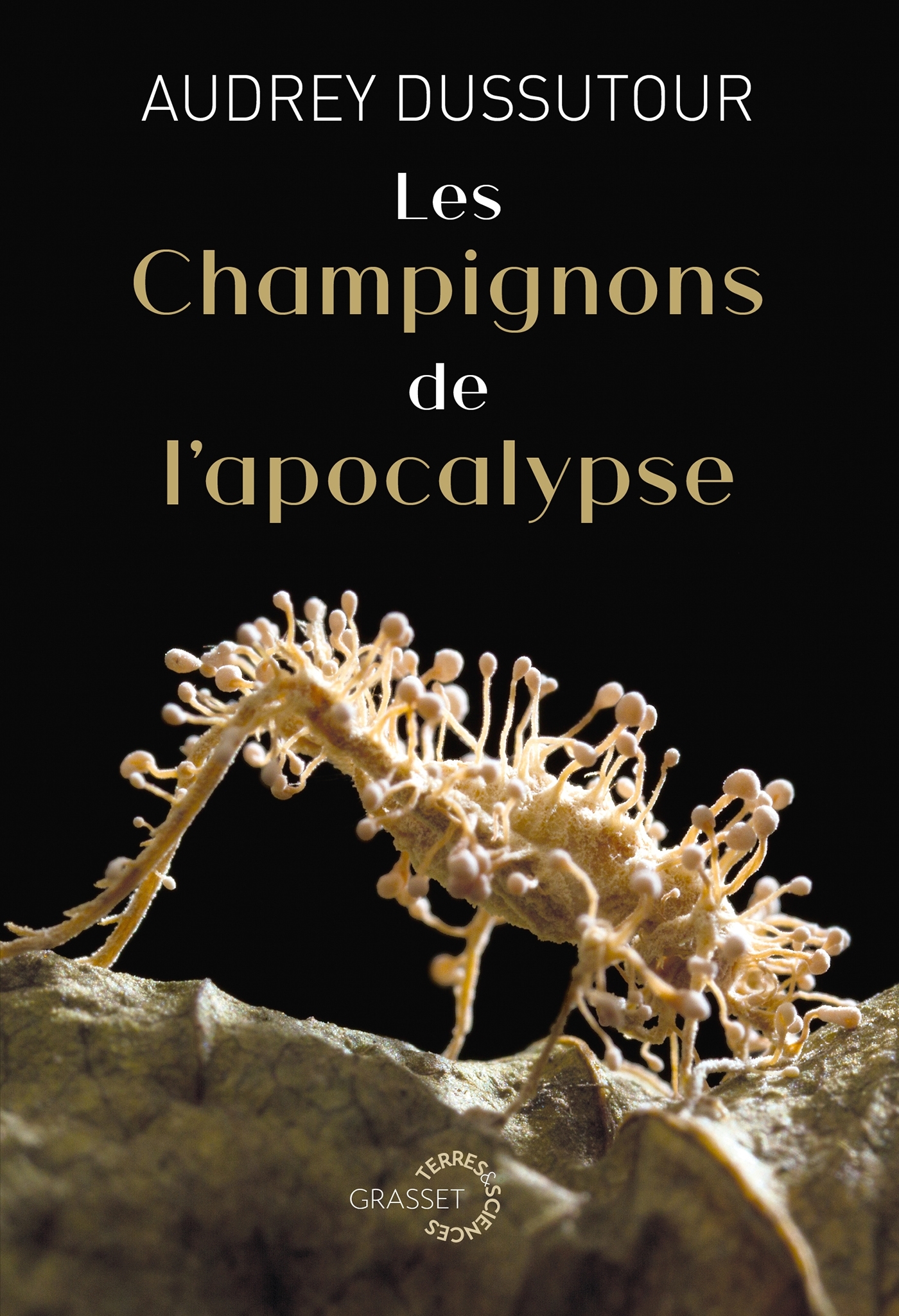 Les champignons de l'apocalypse - Audrey Dussutour - GRASSET