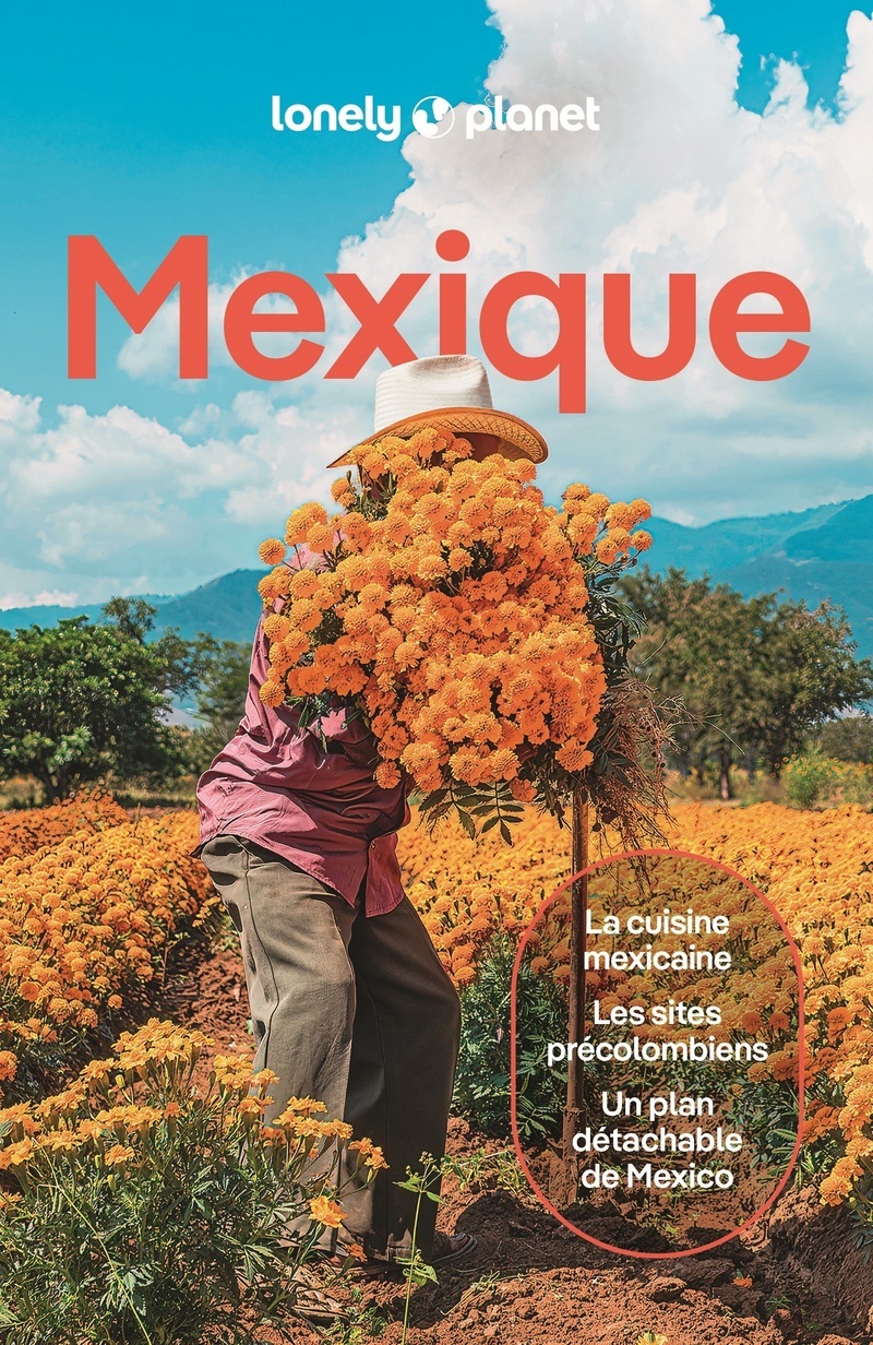 Mexique 15ed -  Lonely Planet - LONELY PLANET