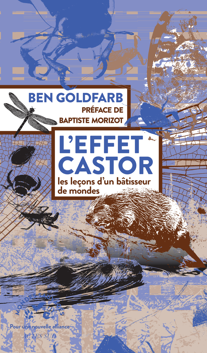 L'effet castor - Ben Goldfarb, Baptiste Morizot - ACTES SUD