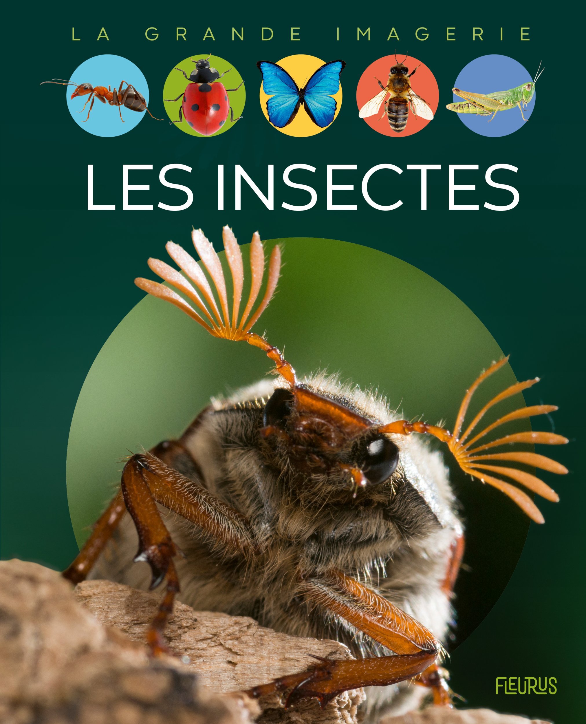 Les insectes - Emilie Beaumont - FLEURUS