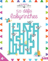 50 defis labyrinthes