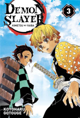 Demon slayer tome 3