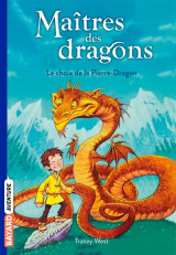 Maitres des dragons tome 1 : le pouvoir du dragon de terre