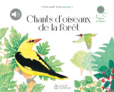 Chants d'oiseaux de la foret