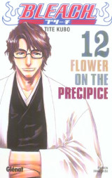 Bleach tome 12 : flower on the precipice