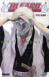 Bleach tome 20 : end of hynosis