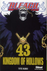 Bleach tome 43 : kingdom of hollow